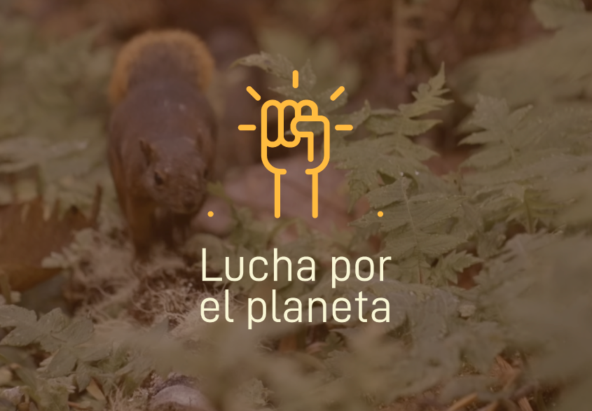 Lucha por el planeta