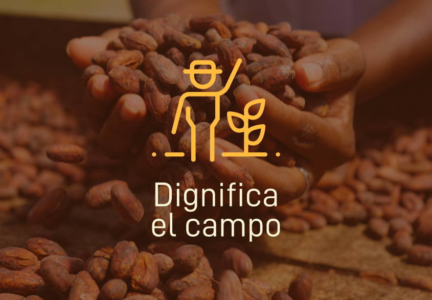 Diginifica el campo