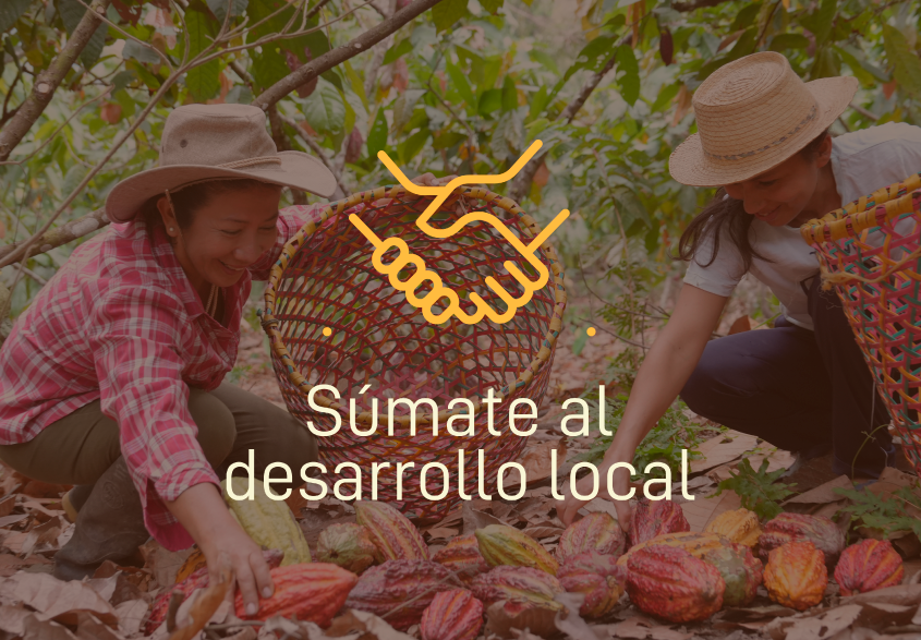 Sumate desarrollo local